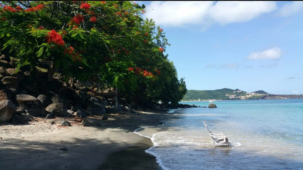 barefoot sailboat cruises