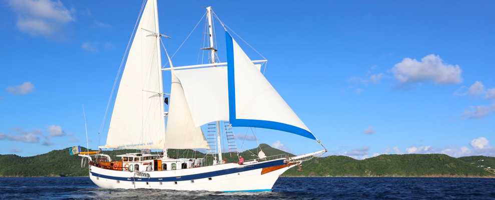 Island Windjammers Cruises - Caribbean Tall Ship Sailing Cruises