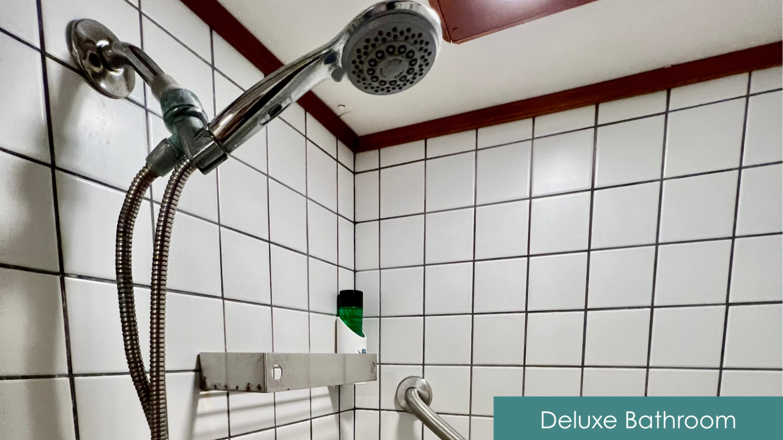 Tiled shower with handheld showerhead and grab bar, labeled 'Deluxe Bathroom'.