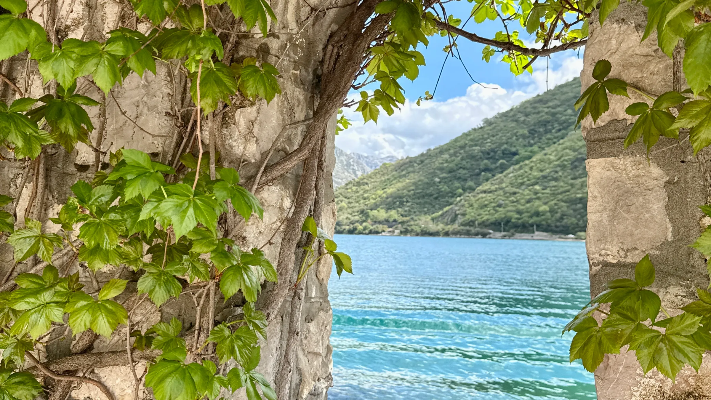 Stone arch with green vines framing a view of a lake and hills.